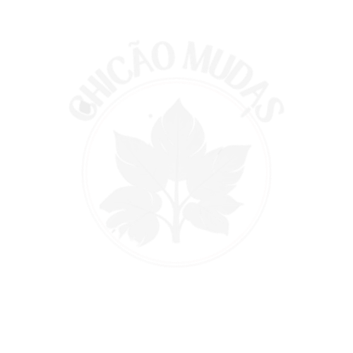 Empresa atendida